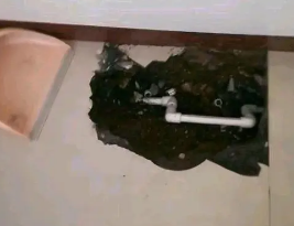 广德卫生间测漏水多少钱
